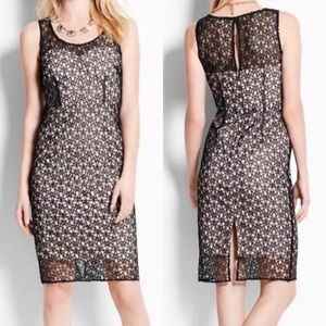 Ann Taylor Petites Lace Overlay Dress